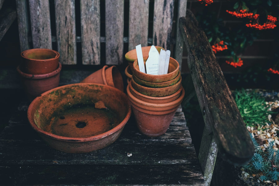 Weathered terracotta pots and a shallow terracotta dish with a hole in its base, on a garden bench