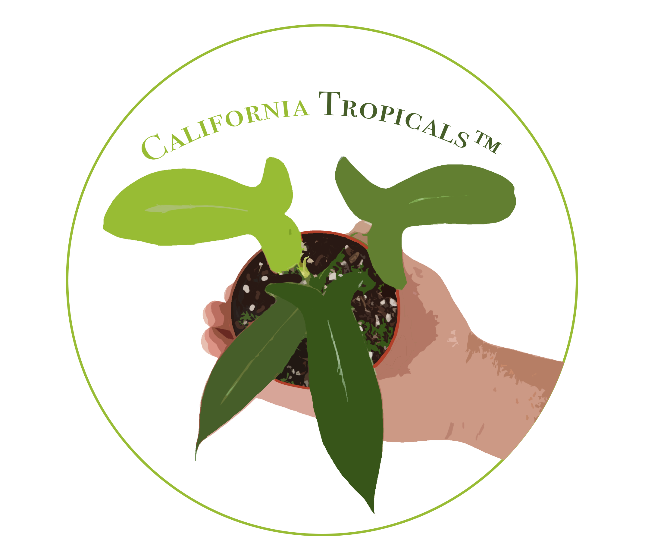 california-tropicals.com logo